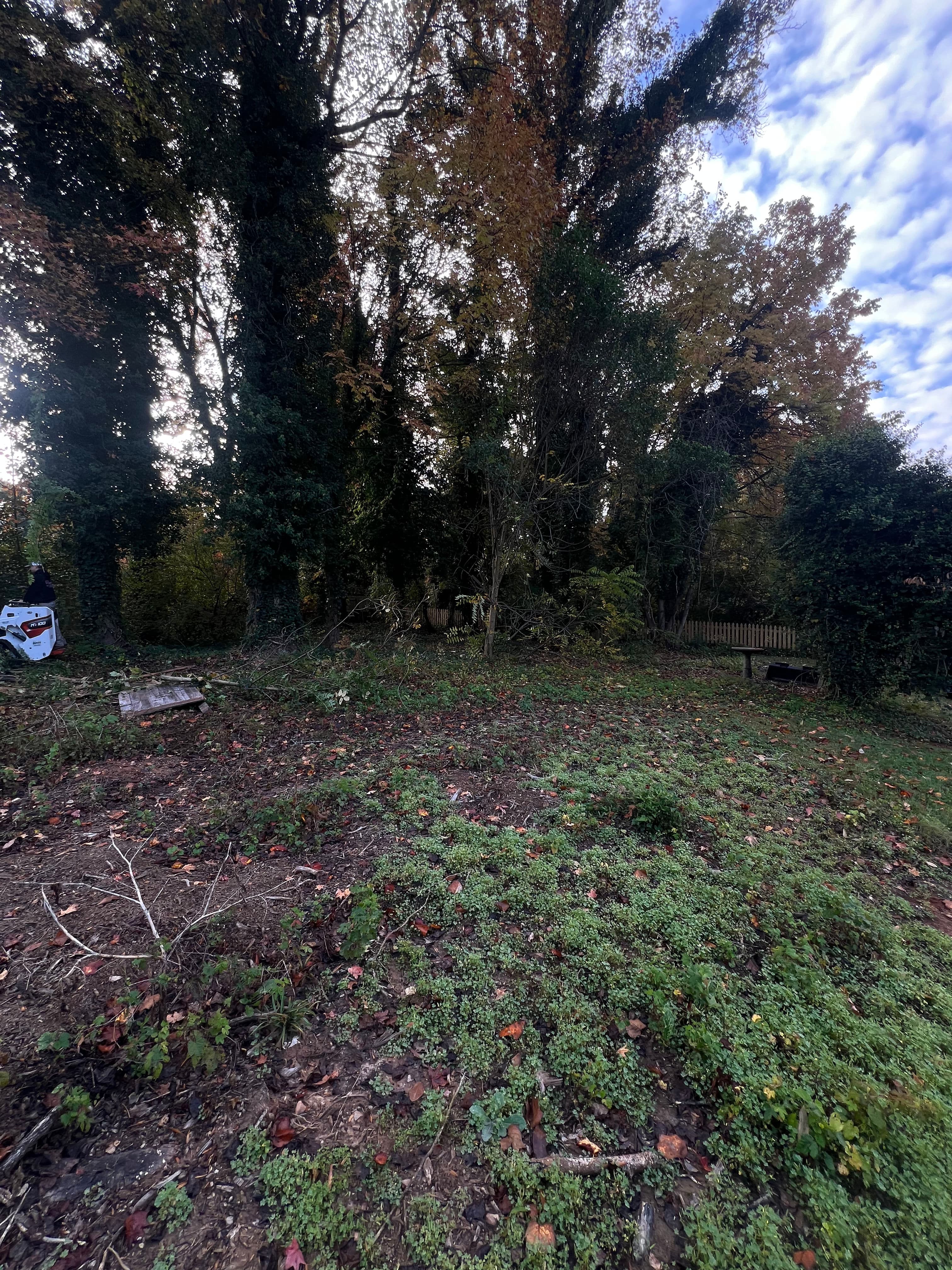 Project Shed Removal and Full Backyard Cleanup Done Right image