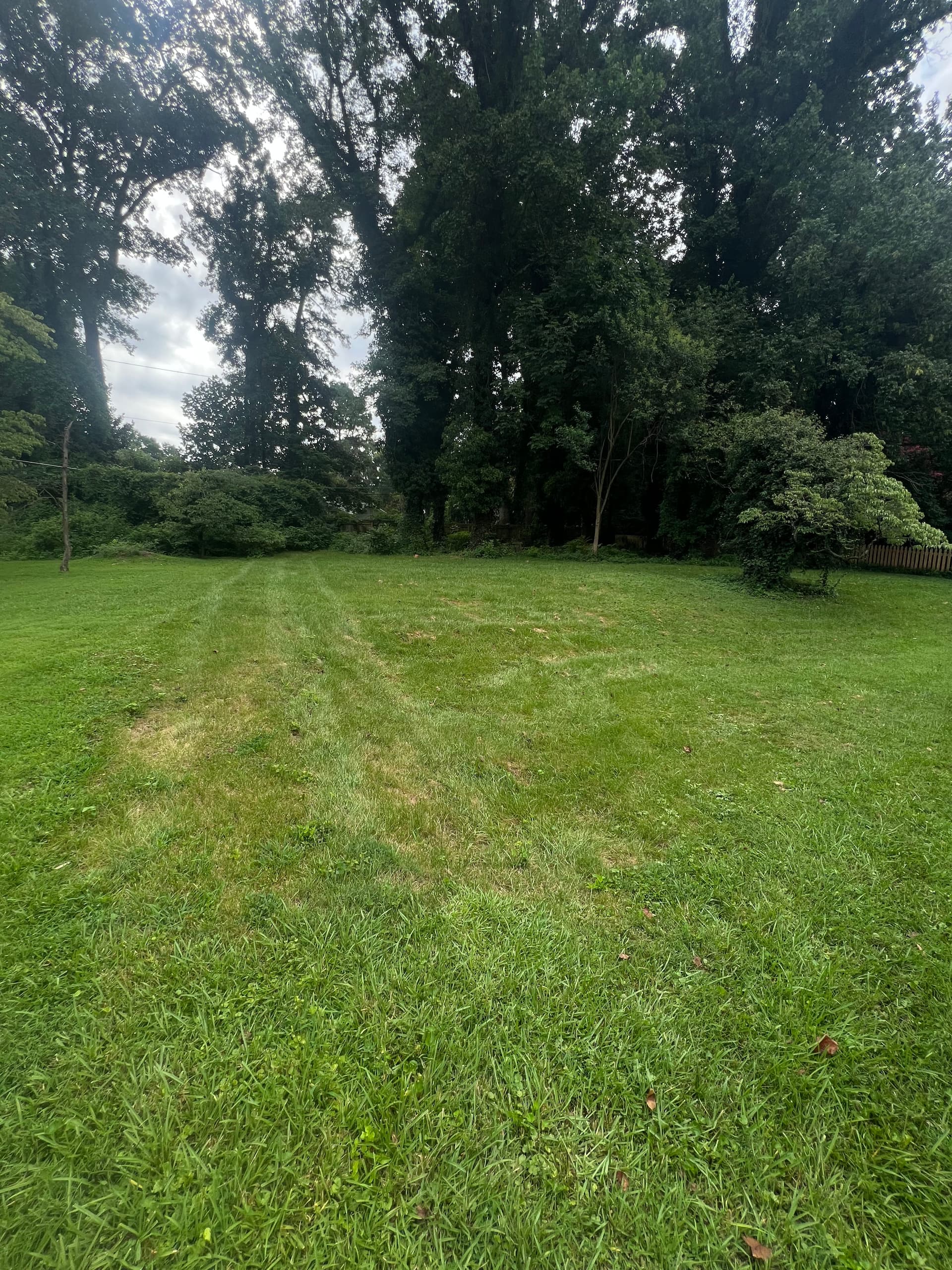 Gallery photos for Shed Removal and Full Backyard Cleanup Done Right: Image #2