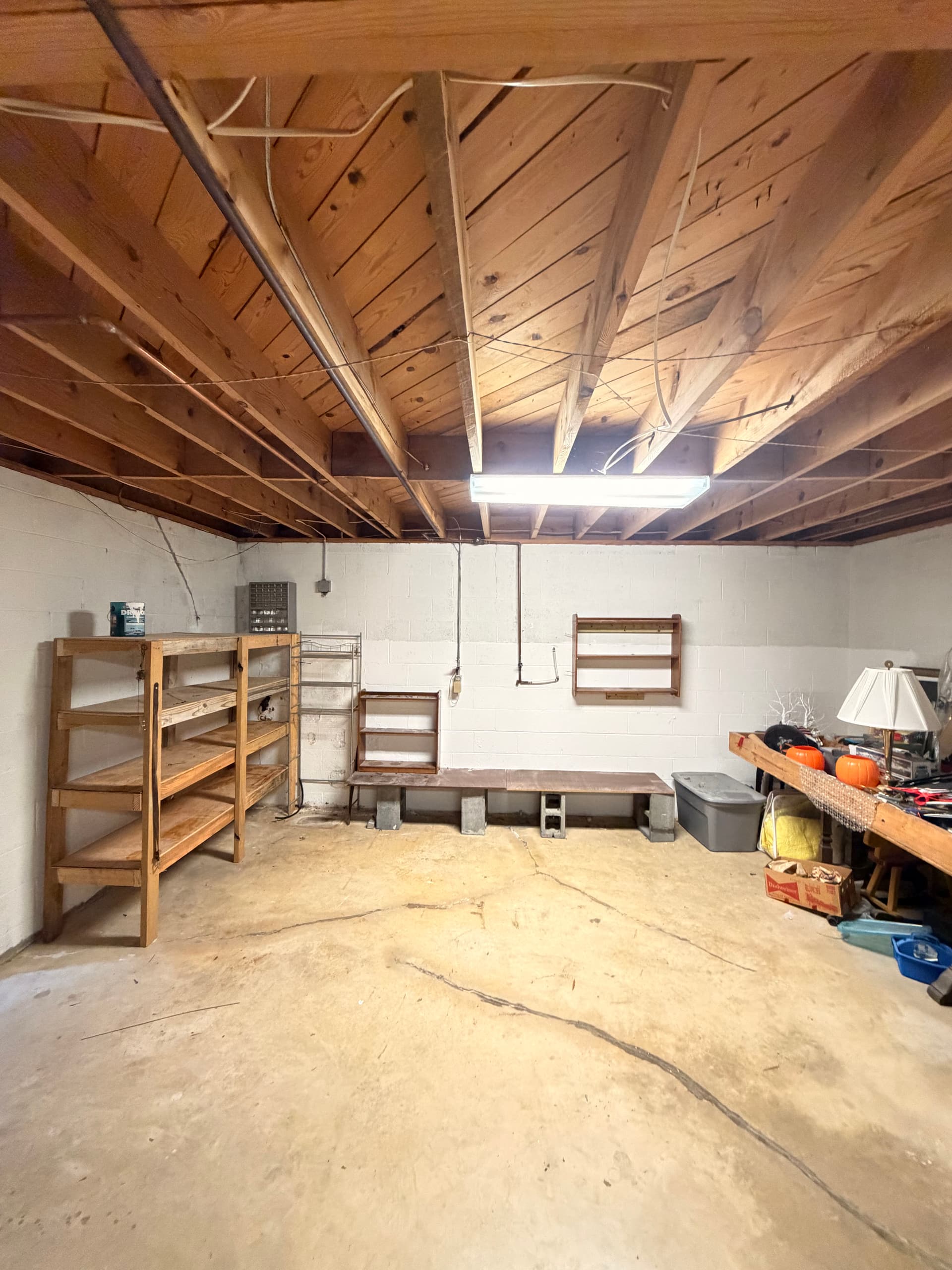 Gallery photos for Full Basement Cleanout Clears Years of Accumulated Junk in One Day: Image #3