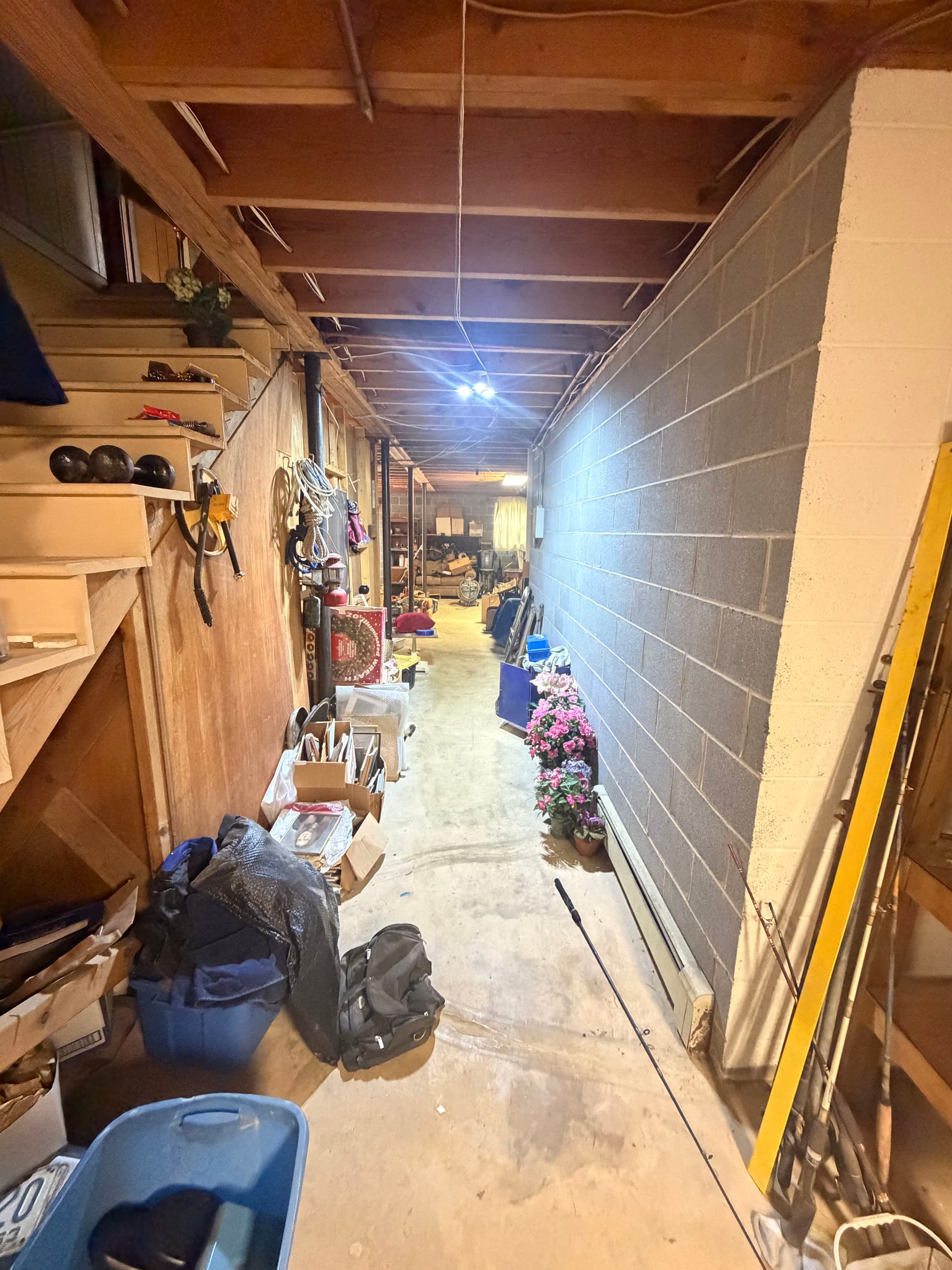 Gallery photos for Full Basement Cleanout Clears Years of Accumulated Junk in One Day: Image #8