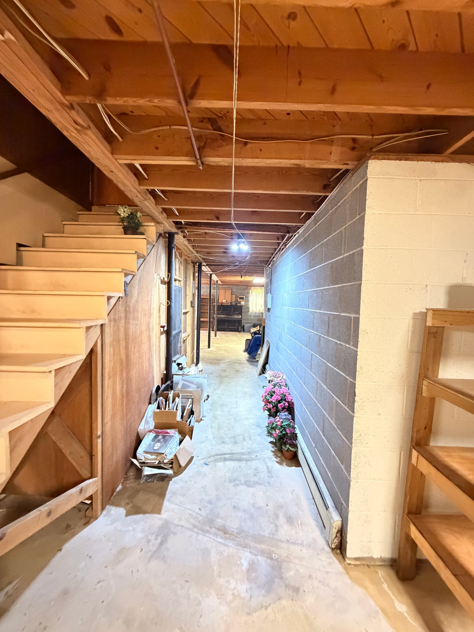 Gallery photos for Full Basement Cleanout Clears Years of Accumulated Junk in One Day: Image #9