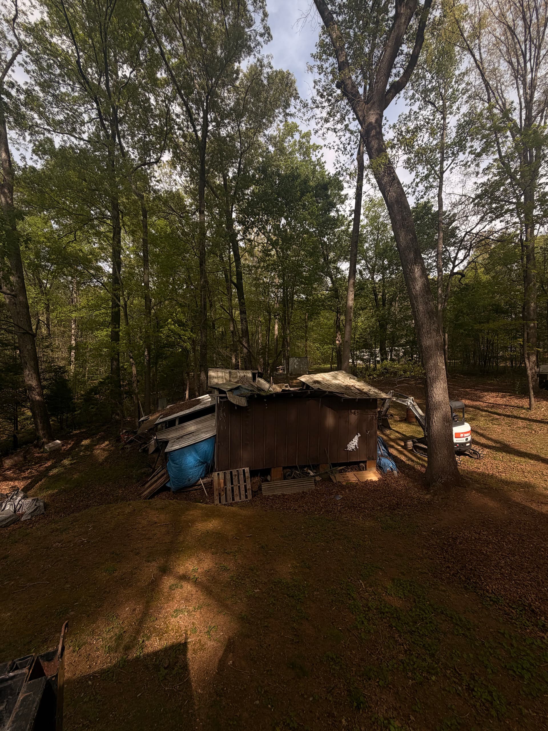 Gallery photos for Old Backyard Shop Demo and Full Debris Removal: Image #1