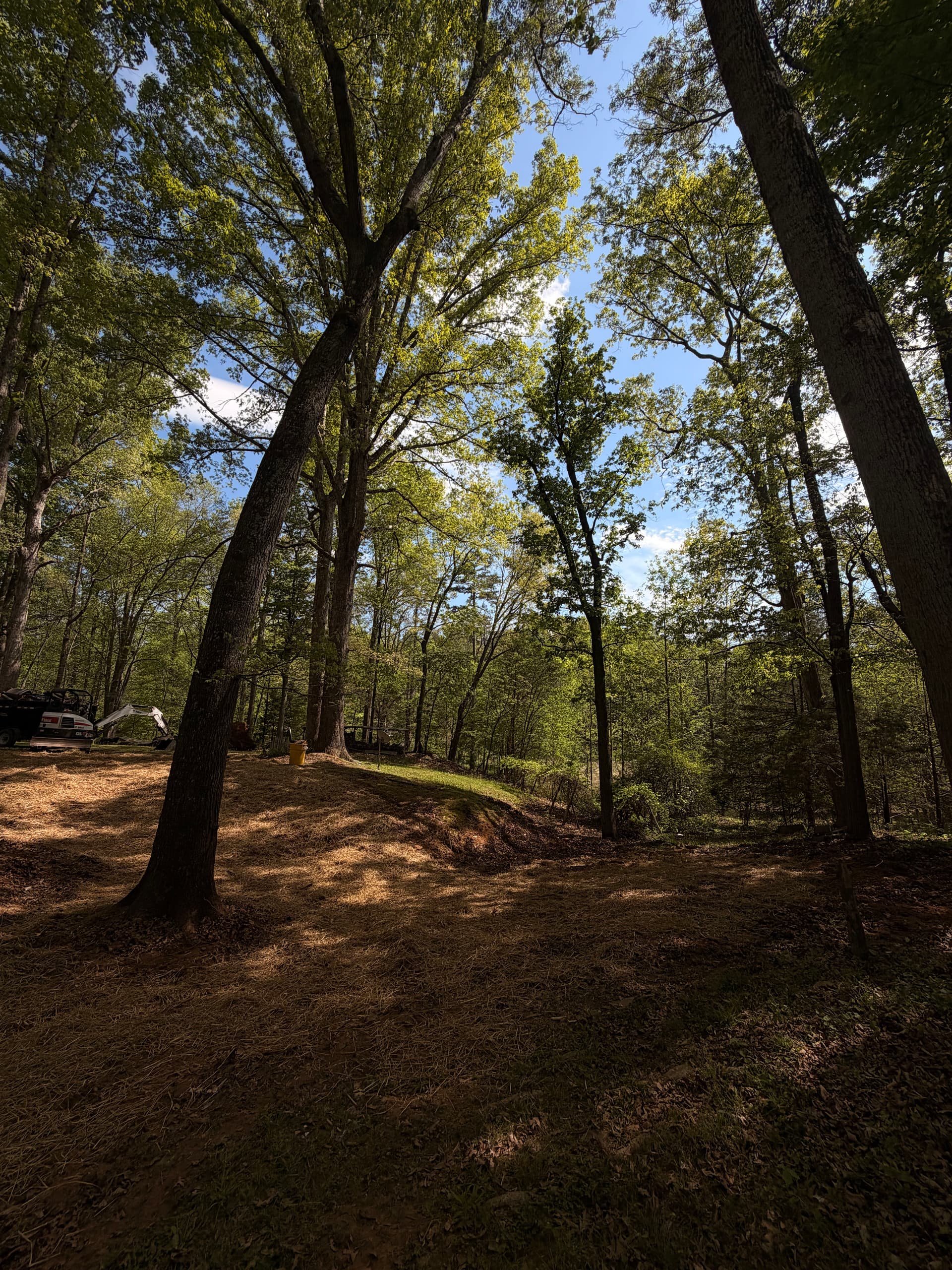 Gallery photos for Old Backyard Shop Demo and Full Debris Removal: Image #6