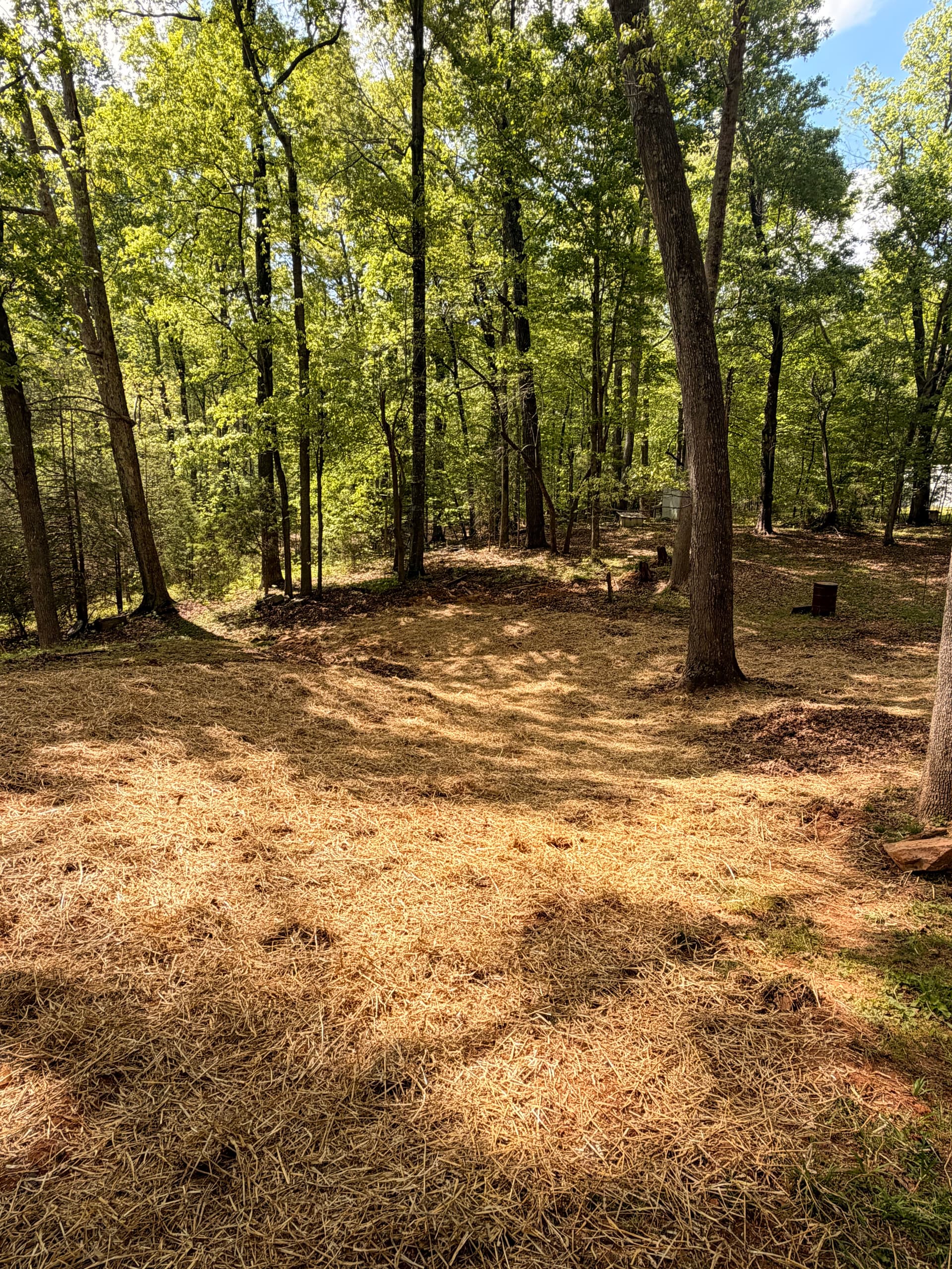Gallery photos for Old Backyard Shop Demo and Full Debris Removal: Image #5